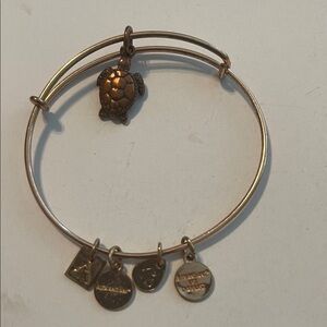 But 2 get 1 free Alex and Ani Gold Turtle Charm Bracelet